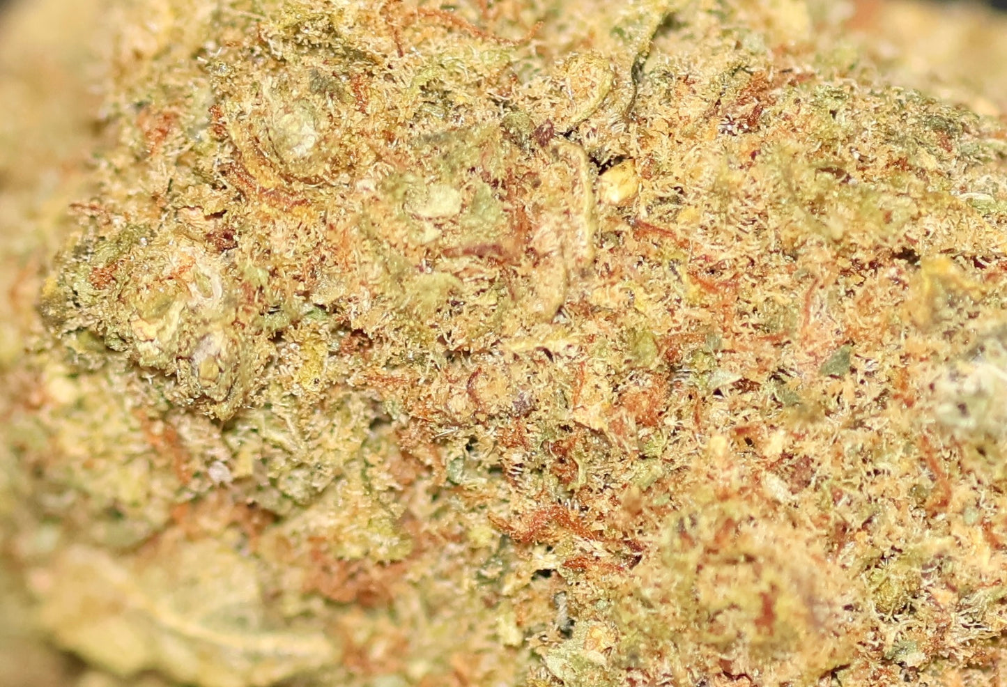 Cali Ice Cream Cake 17% CBD - Indoor