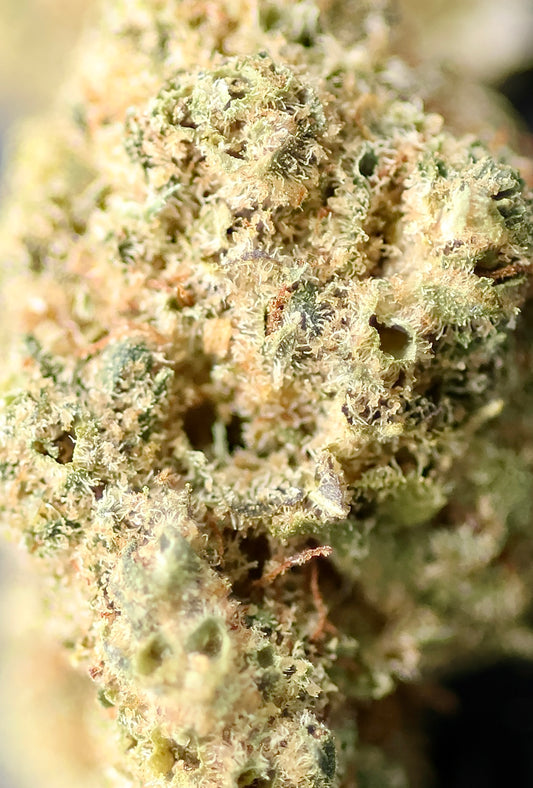 Malabar Small Bud 17% CBD - Glasshouse Indoor PROMO