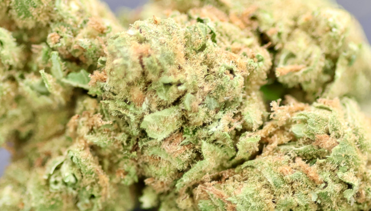 Amnesia US 17% CBD - Indoor