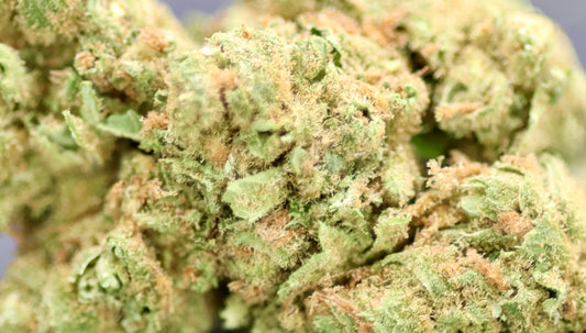 Amnesia US 17% CBD - Indoor