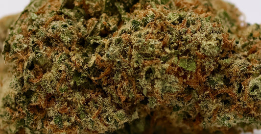 Banana Cream 18% CBD - Indoor