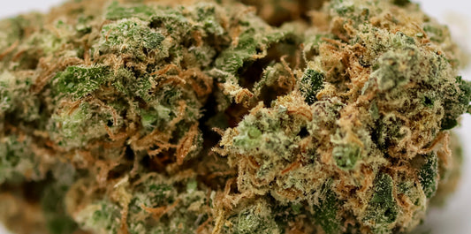 Blueberry Muffin 15% CBD - Indoor