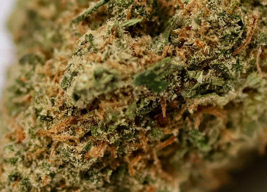 Maui Hawaiian Haze 15% CBD - Medium Indoor PROMO