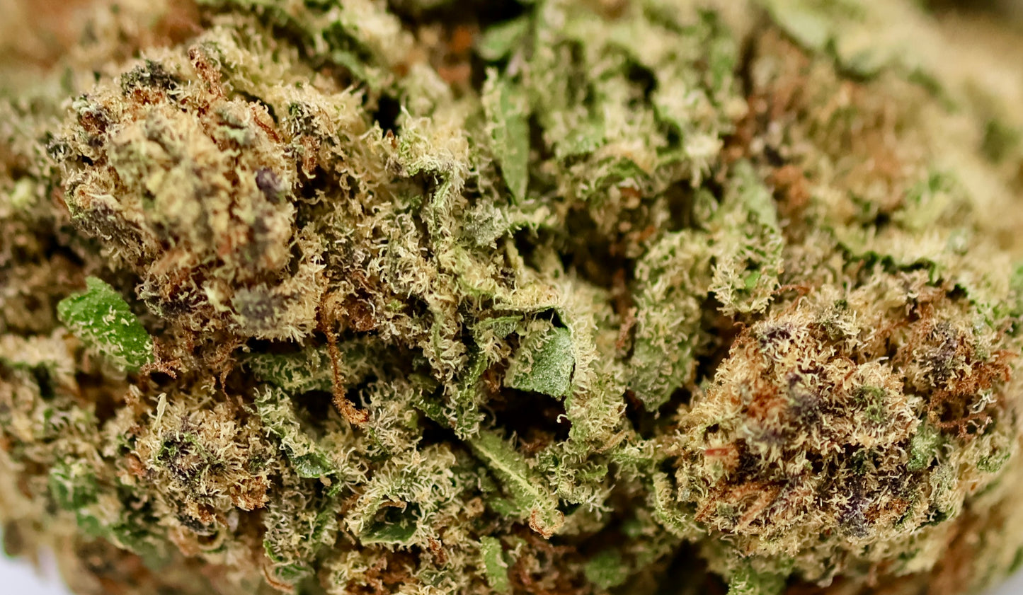 Miracle Alien Cookies Cali 21% CBD - Indoor