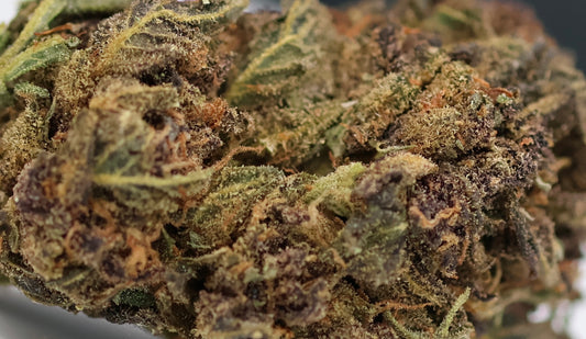 Purple Snowman 18% CBD Pas Cher - Glasshouse