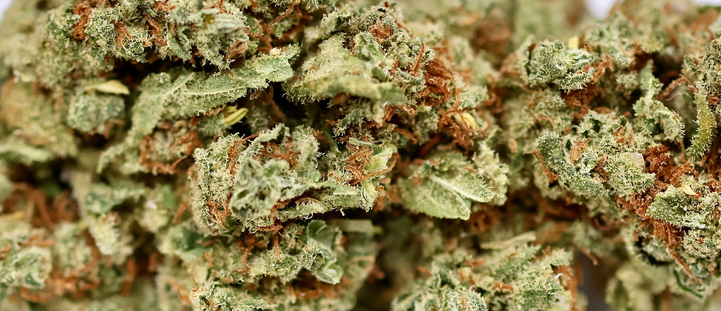 Citrus OG 10% CBD - Indoor