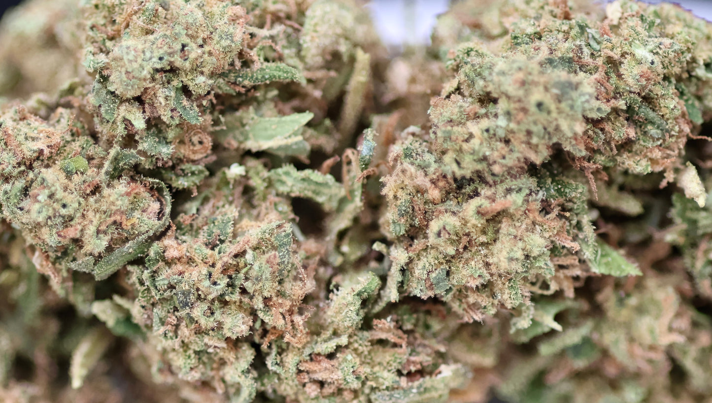 Gasolina 16% CBD - Indoor