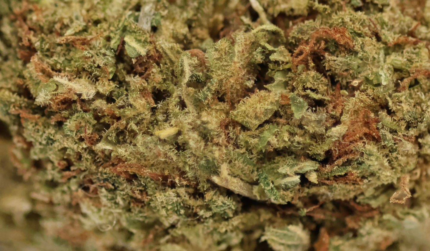 Harlequin 13% CBD Pas Cher - Indoor