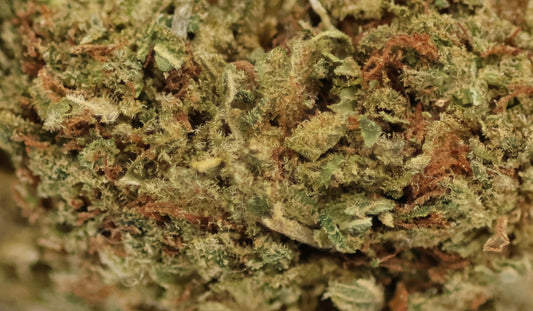 Harlequin 13% CBD Pas Cher - Indoor