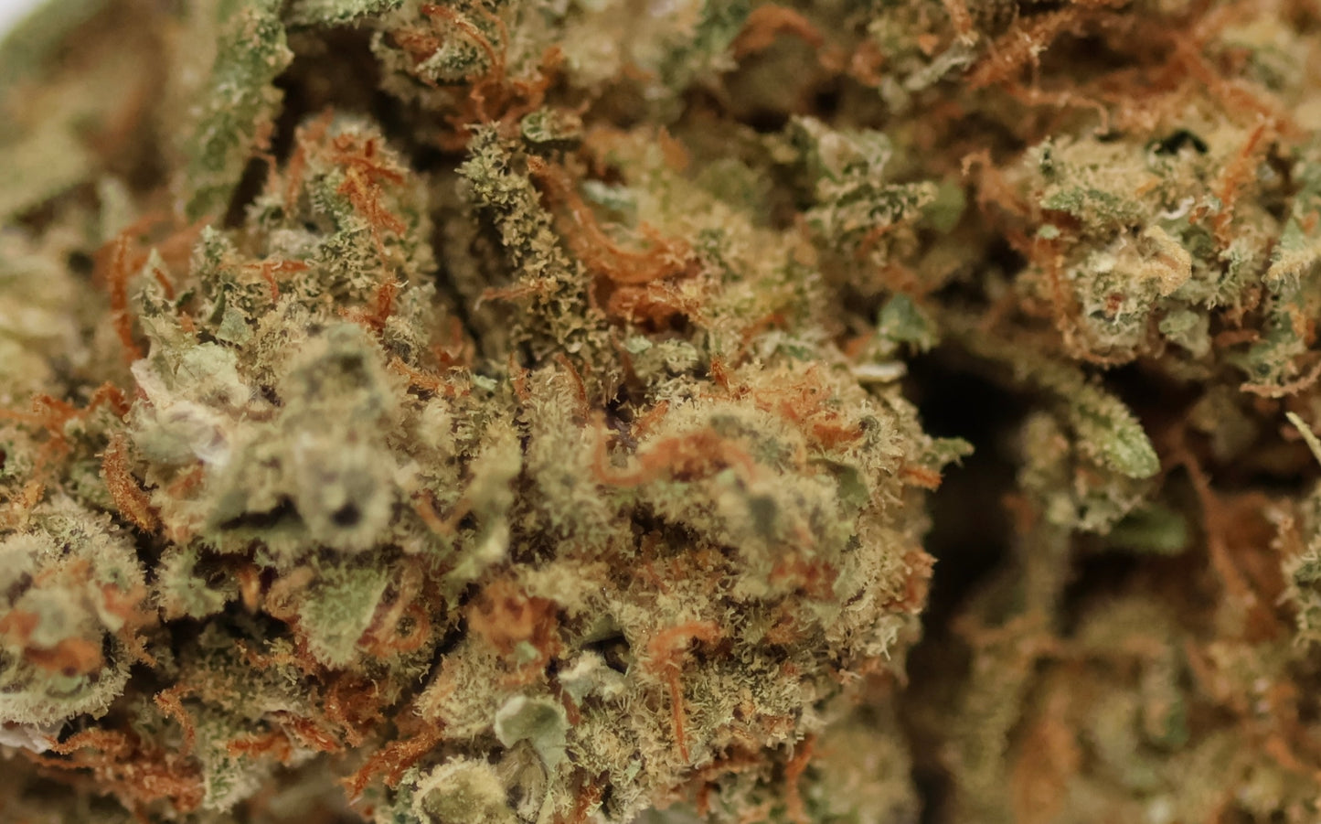 White Widow 14% CBD - Indoor PROMO
