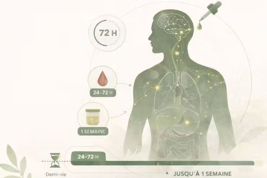 Combien de temps reste le CBD dans l'organisme ?