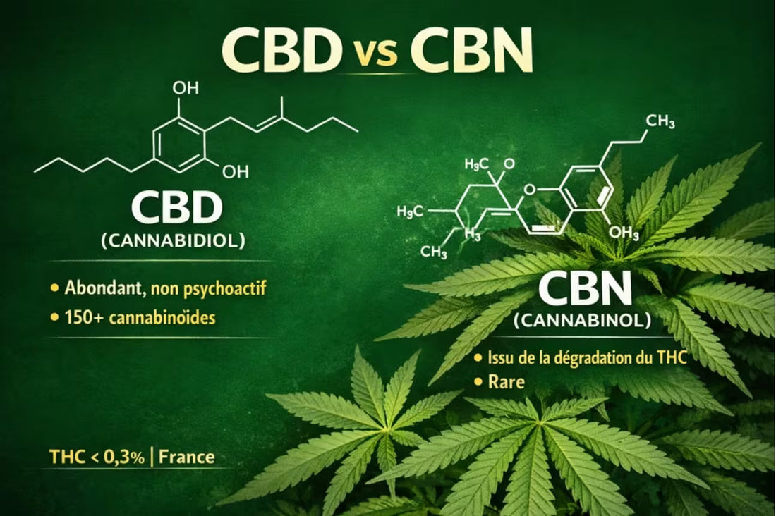 CBD vs CBN : quelles différences ?