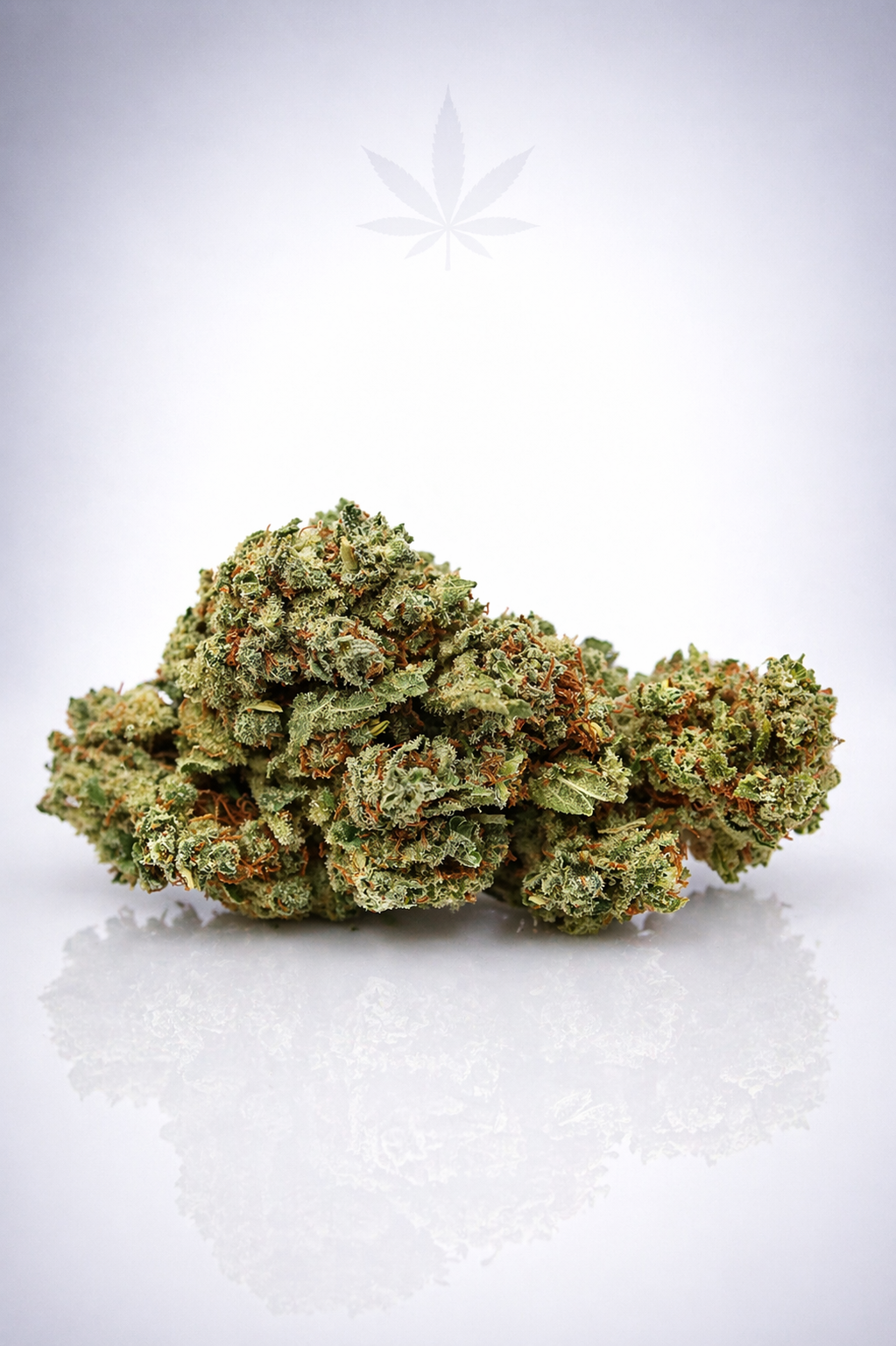 Citrus OG 10% CBD - Indoor