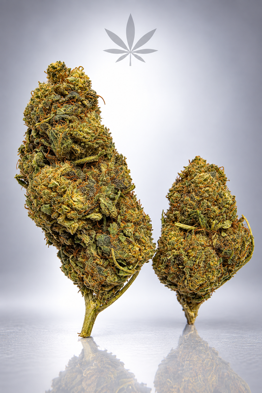 Amnesia HE 20% HE