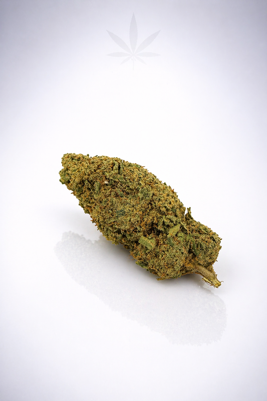 Super Silver Haze 13% CBD - Indoor