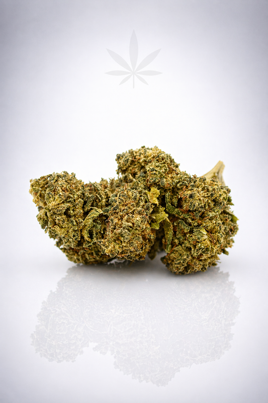 Rockstar 15% XXX - Indoor