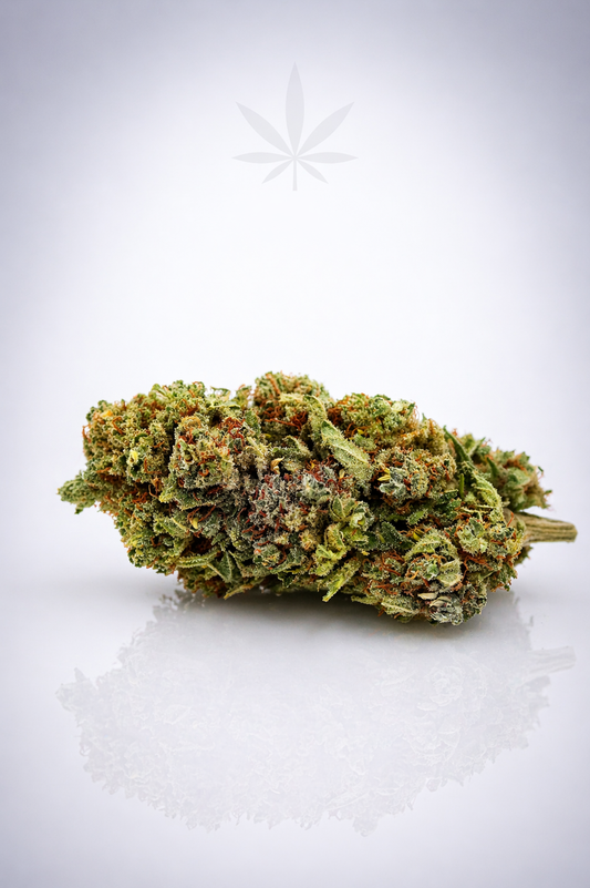 Fanta 20% CBD - Hybride