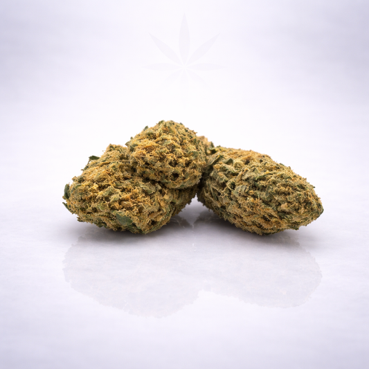 Banana Cream 18% CBD - Indoor