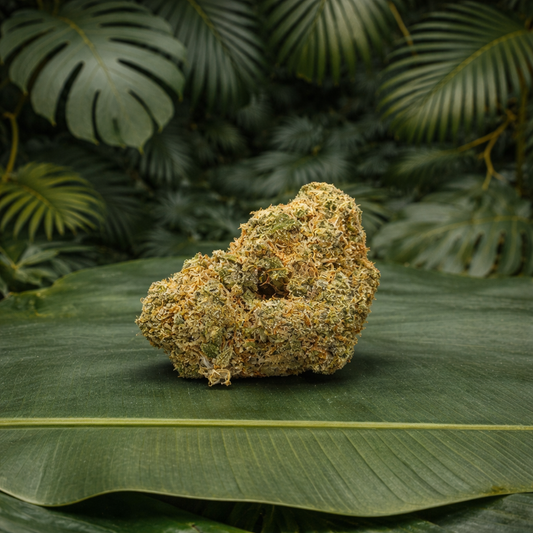 Blueberry Muffin 15% CBD - Indoor