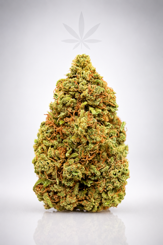 Watermelon 22% BZ PREMIUM