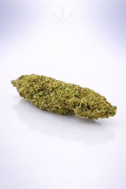 Gasolina 16% CBD - Indoor