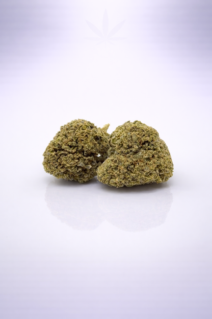 Harlequin 13% CBD Pas Cher  - Indoor