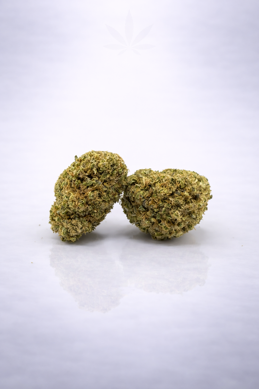 Harleyqueen 12% CBD Pas Cher - Indoor