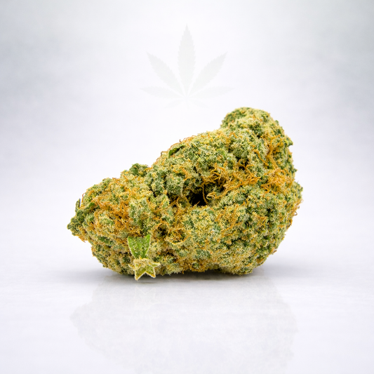 Harleyqueen 18% XXX - indoor