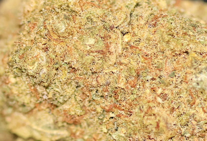 Cali Ice Cream Cake 17% CBD - Indoor