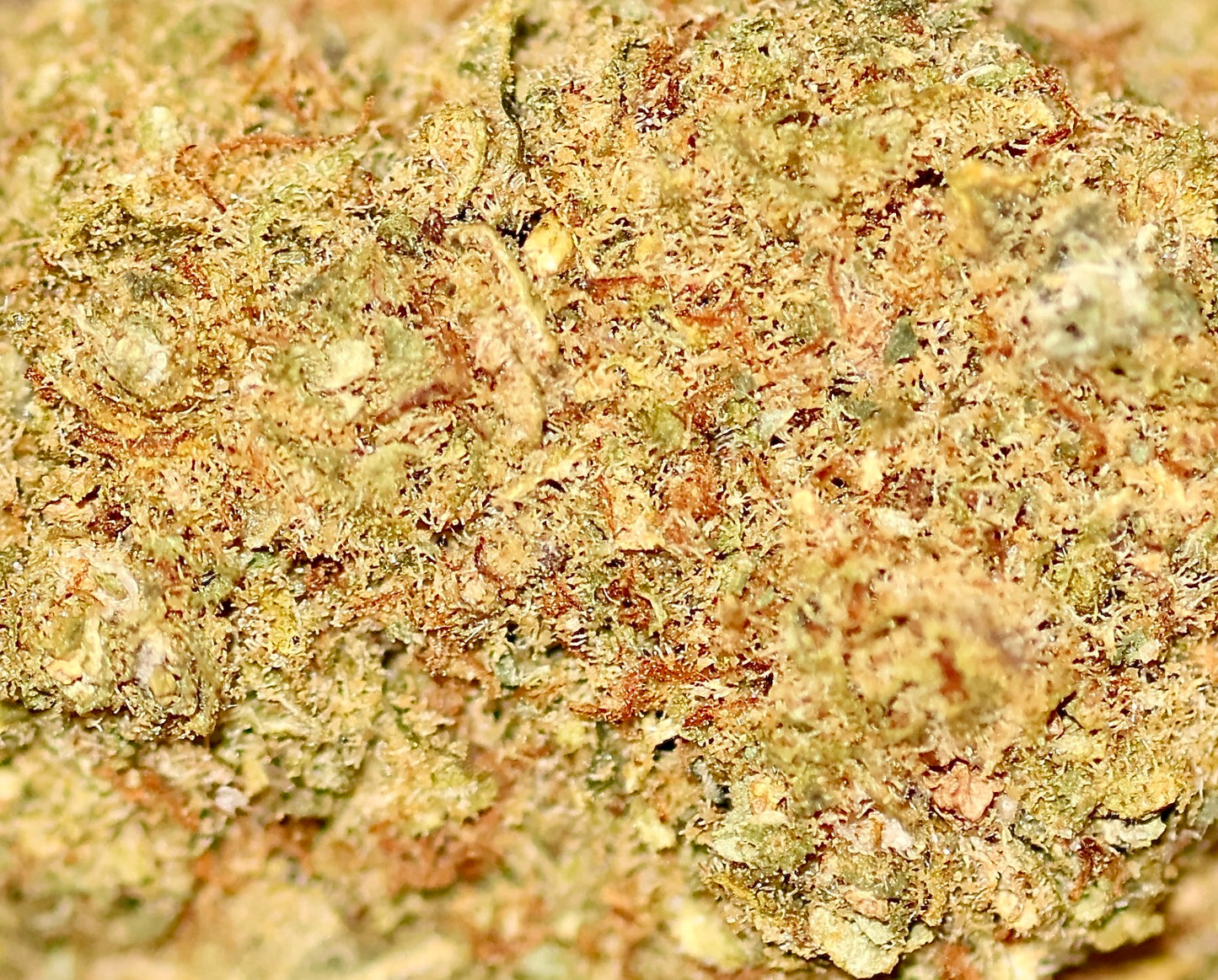 Dos Di Dos Small Bud 16% CBD - Glasshouse