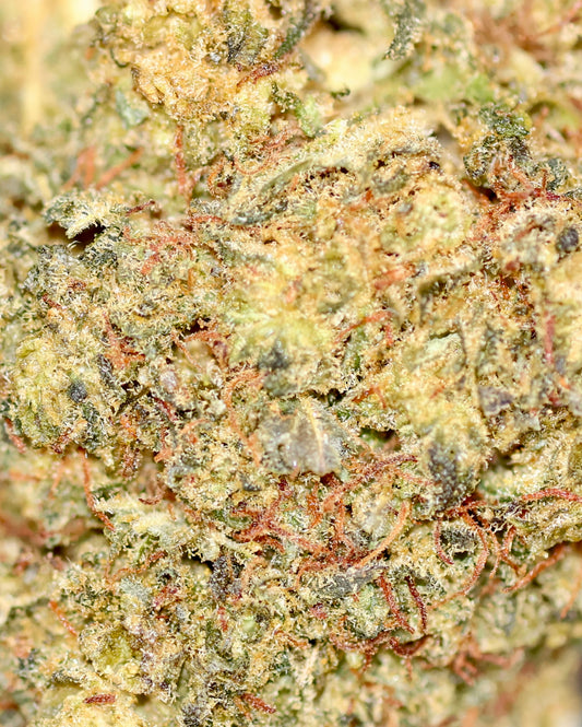 Tropical Haze 15% XXX - Outdoor