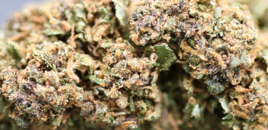 Diamond Grappe 14% CBD Pas Cher - Indoor