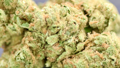 Amnesia US 17% CBD - Indoor