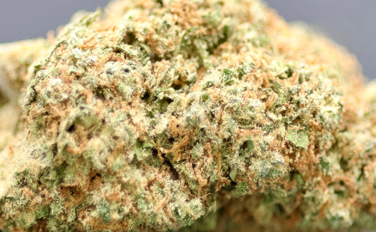 Orange Bud 14% CBD - Indoor