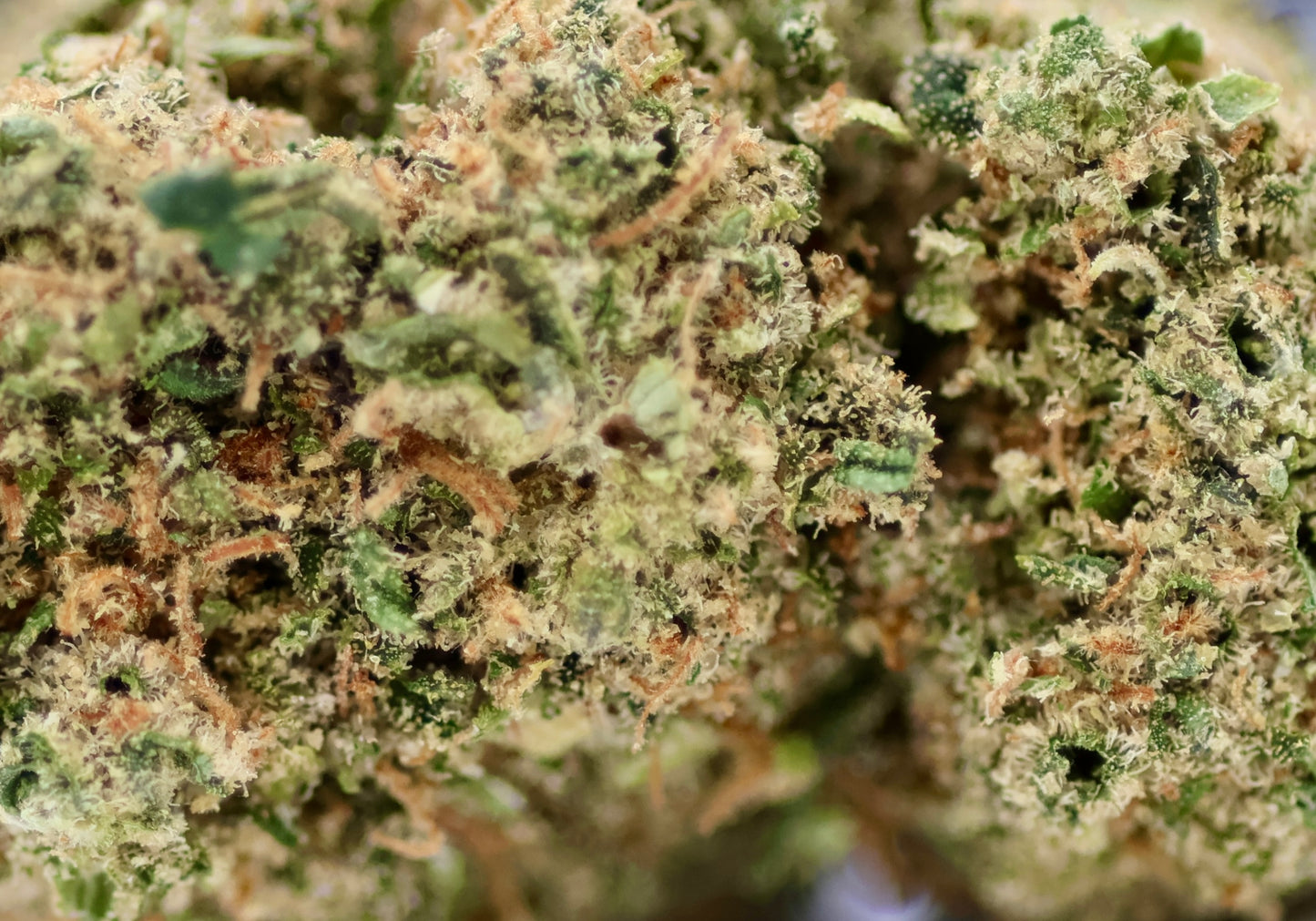 Pineapple Express Cali 20% CBD - Indoor