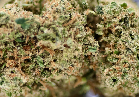 Pineapple Express Cali 20% CBD - Indoor