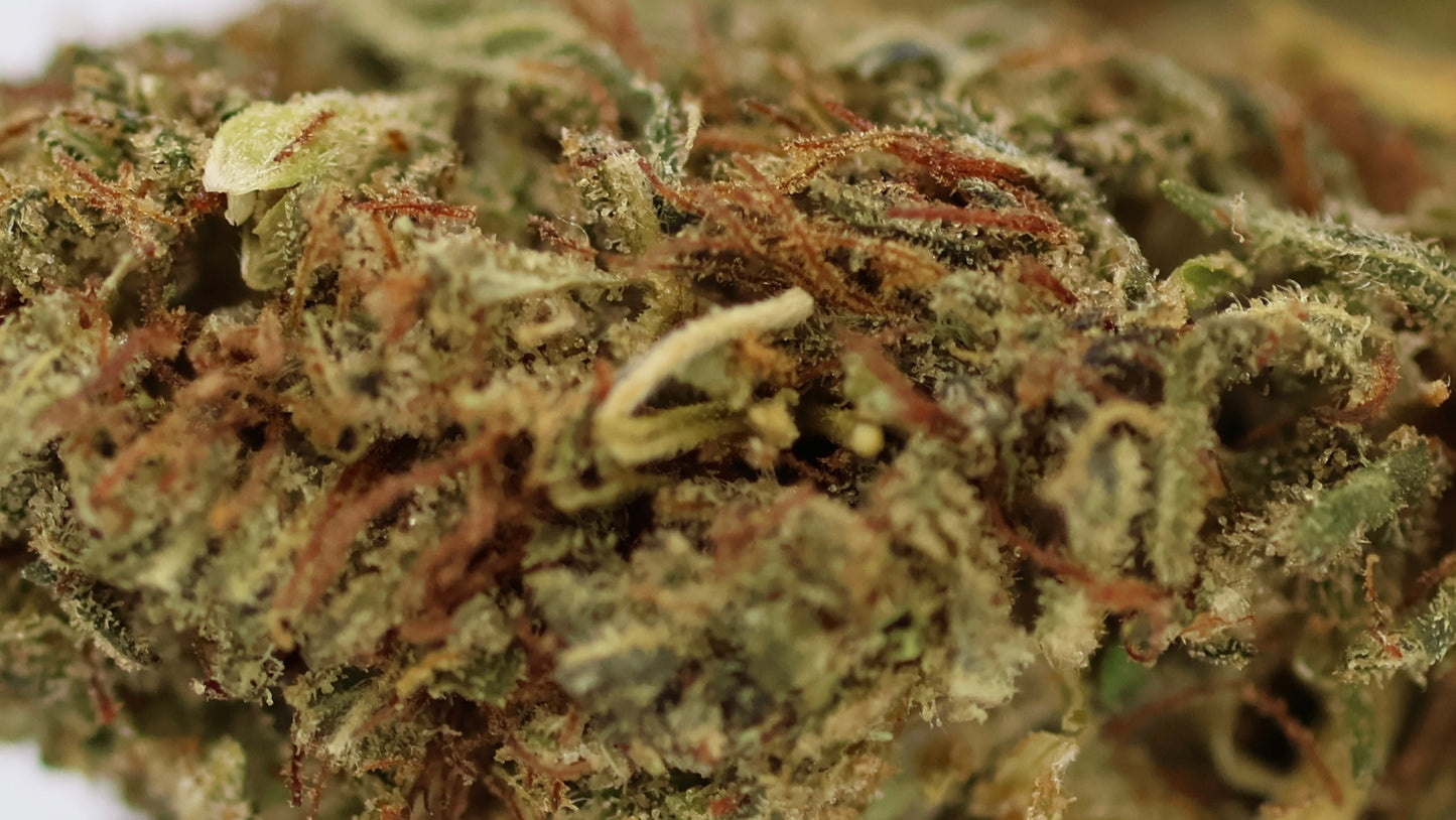 Mango Kush 20% HE - Indoor