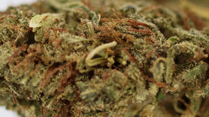 Mango Kush 20% HE - Indoor