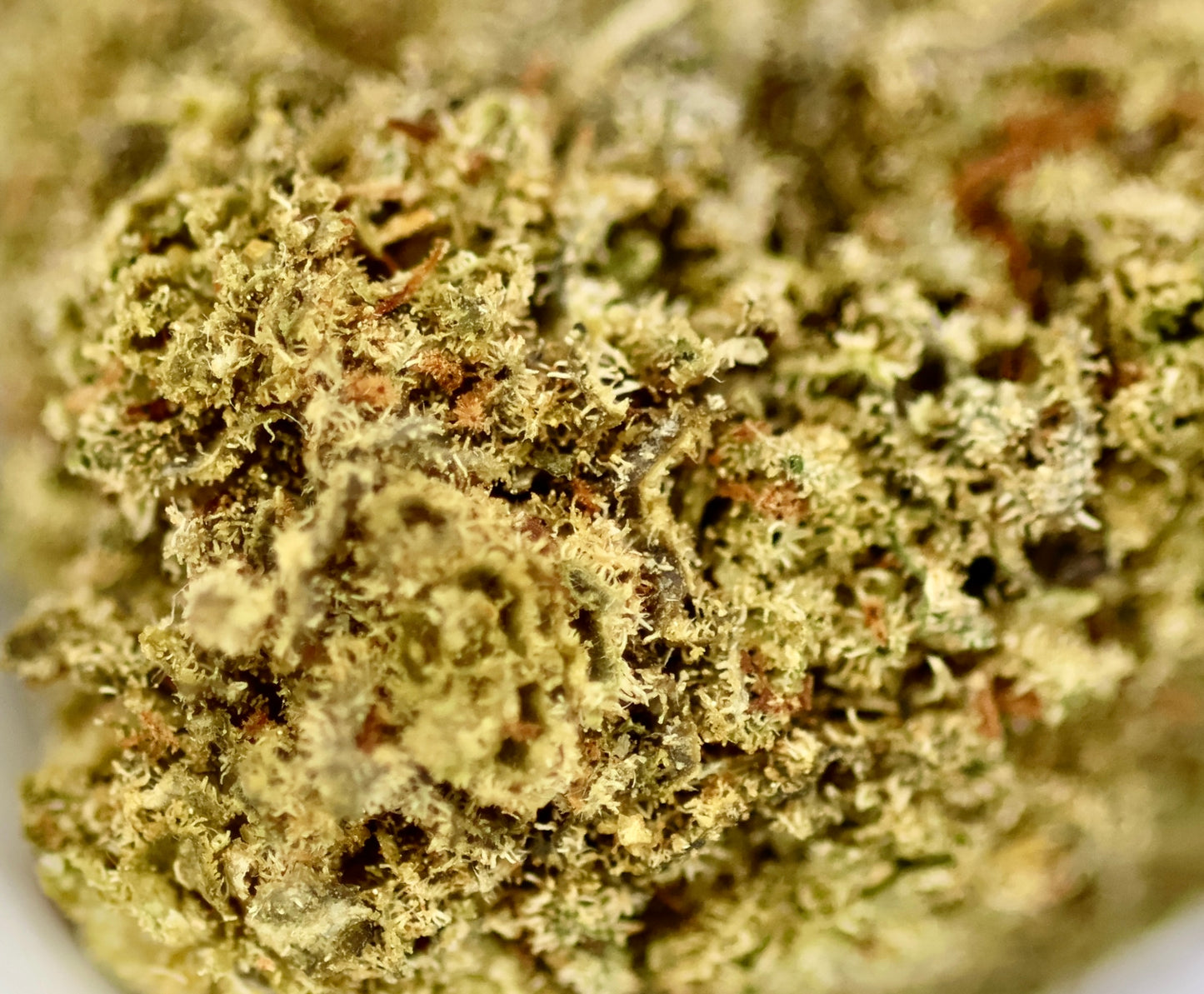 Candy Melon Big 13% CBD - Glasshouse