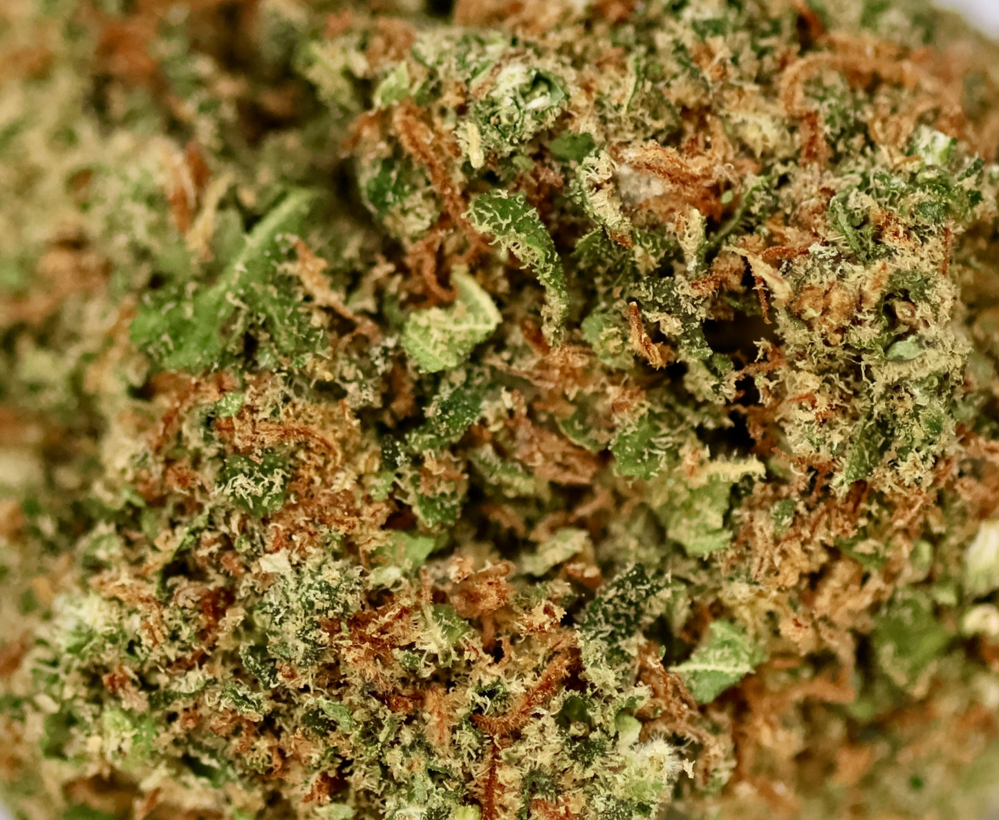 Sunset Sherbet 16% CBD - Indoor
