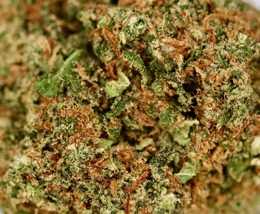 Sunset Sherbet 16% CBD - Indoor