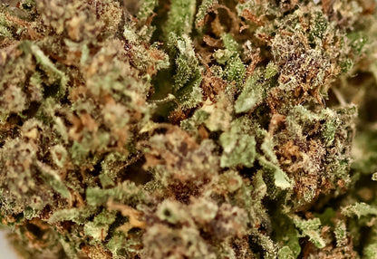 Pink Lady 13% CBD - Glasshouse