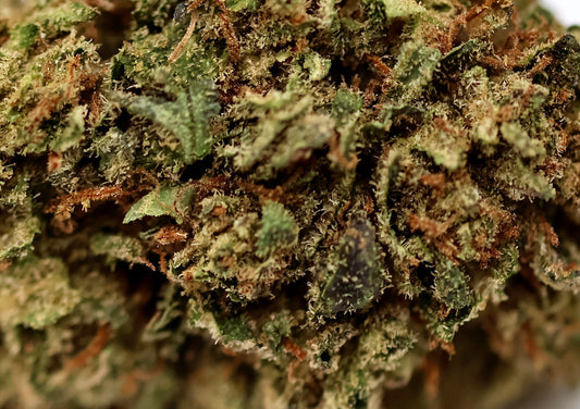Royal OG Kush 20% CBD - Hybride PROMO