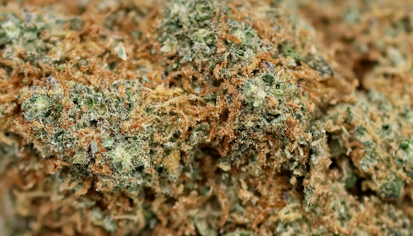 Cali Muffin 21% CBD - Indoor