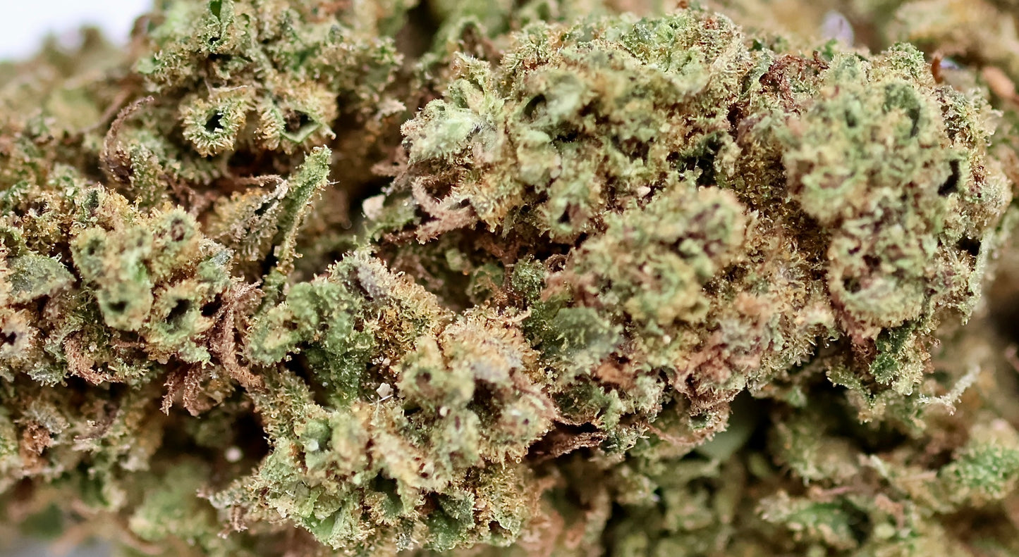 Lemon Tonic Big 23% CBD Pas Cher  - Glasshouse