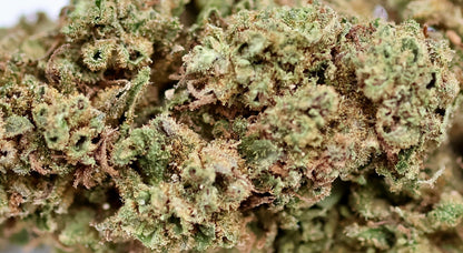 Lemon Tonic Big 23% CBD Pas Cher  - Glasshouse