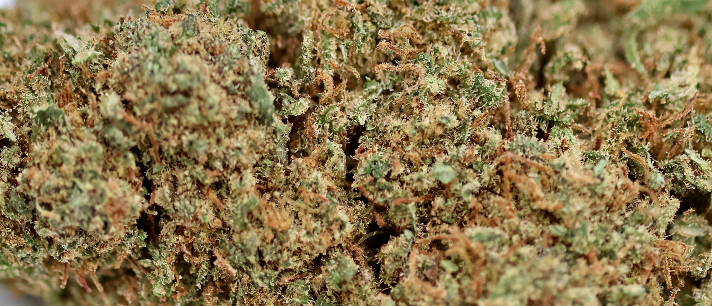 Lemon Sorbet 20% HE  - Indoor