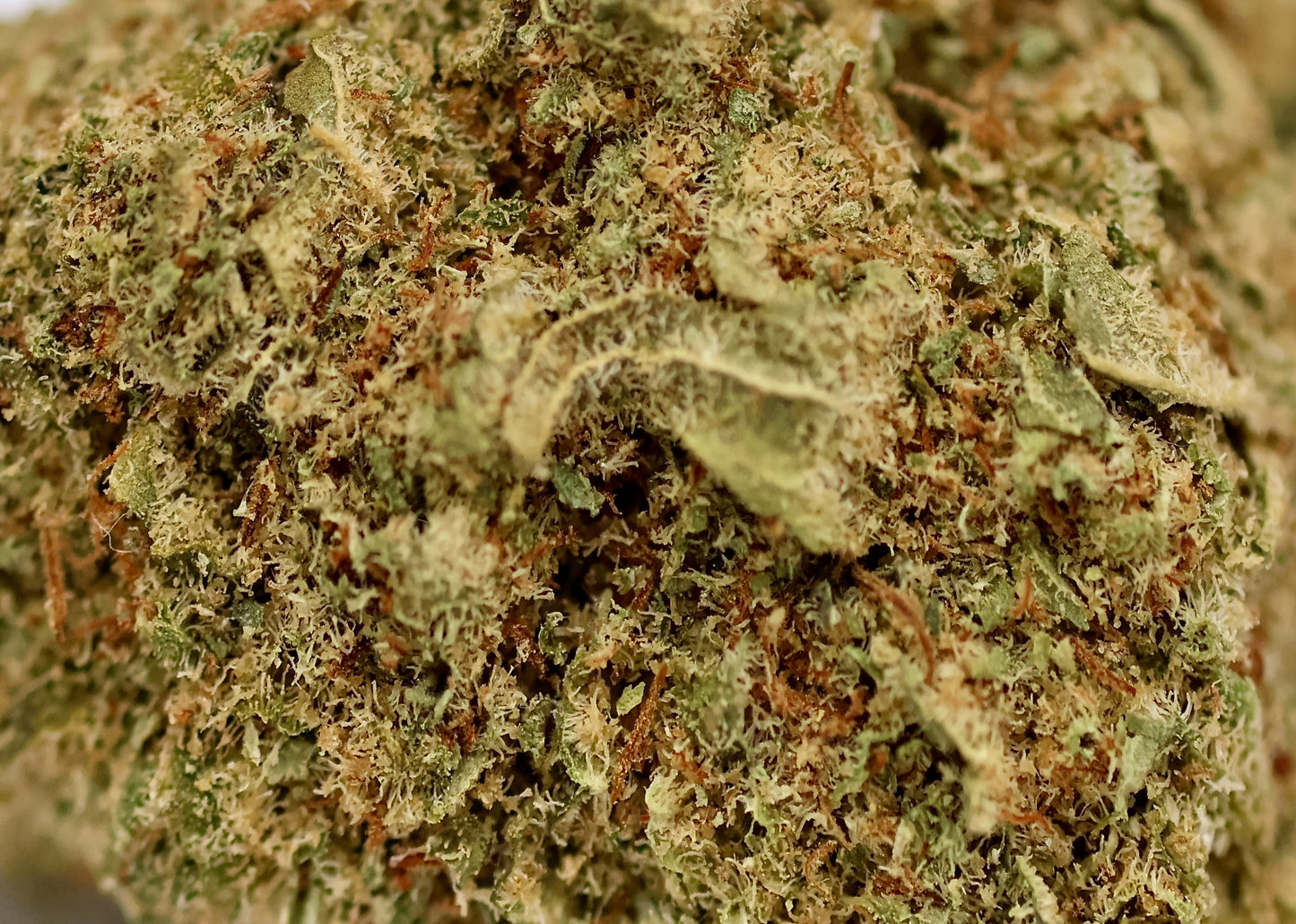 Super Silver Haze 13% CBD - Indoor