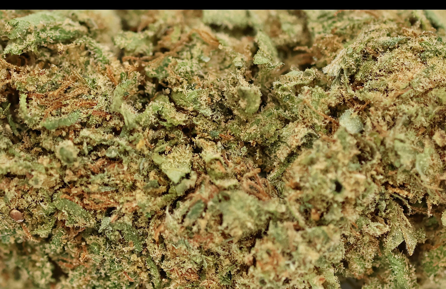 Super Special Sauce Big 19% CBD - Indoor