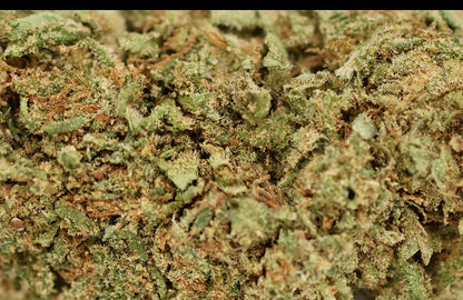 Super Special Sauce Big 19% CBD - Indoor